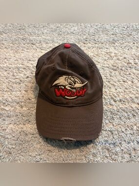 Vtg Drew Pearson Woody Woodpecker Snapback Hat Mens Brown Red Distressed Cap